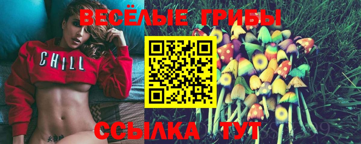 Новочеркасск  Галлюциногенные грибы прущие грибы  Вход с VPN 